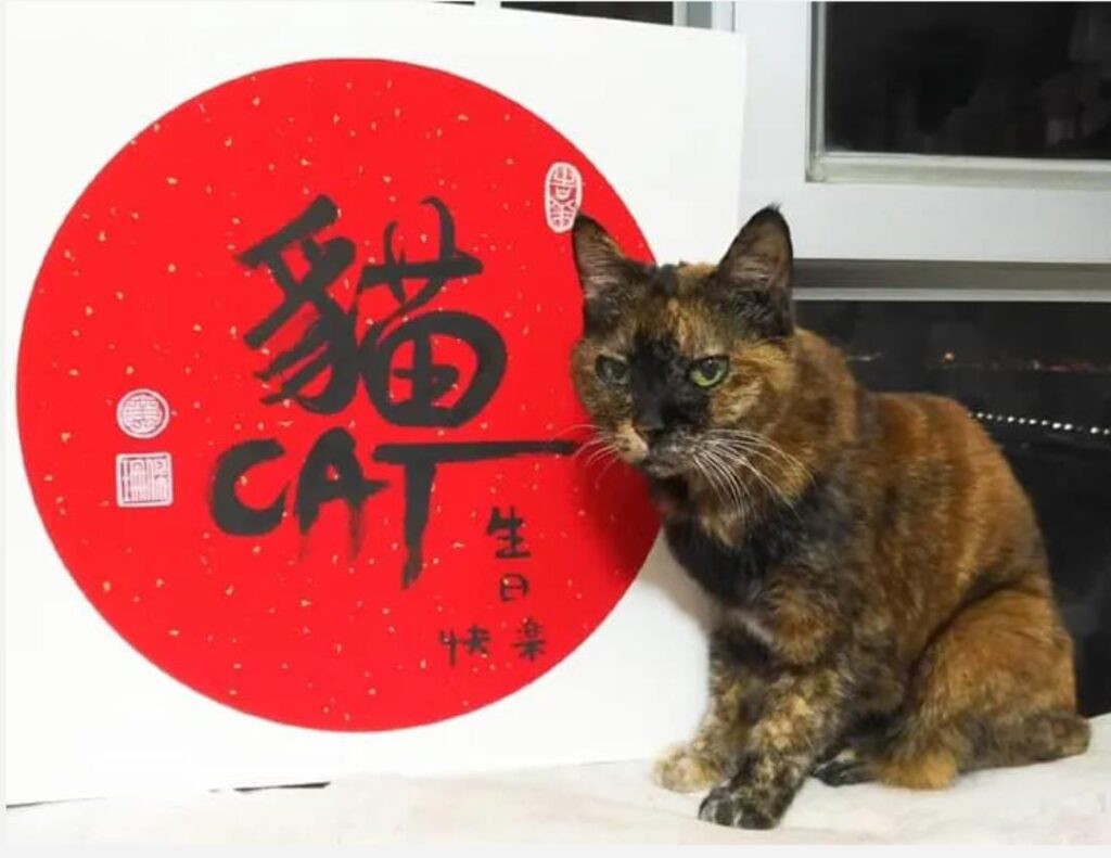 藝術,是她與自己對話的方式,也是她與世界連結的語言。黃佩珊小姐從市場營銷轉行藝術教育,靠著一份對創作與教學的熱誠,走進社區、走進教室,也走進了自己的理想生活。她堅持每年學習一樣新事物,這不單是一個習慣,更是一種對生命的尊重與探索。十年來,她用畫筆、書法與教學,慢慢建構出屬於自己的藝術人生。