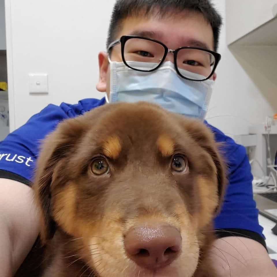 他曾因救不了自家心愛的貓咪而深深自責，那份無力感讓他走上了成為獸醫的路。從一個懷抱熱誠卻缺乏實戰經驗的年輕人，到如今在前線堅守多年的獸醫，丁勵民醫生的故事，不只是關於醫療，更是關於堅持、學習與對生命的敬重。在這個節奏急促、醫療資源有限的城市，他選擇走進社區、走近基層，成為許多毛孩與主人心中的溫柔守護者。