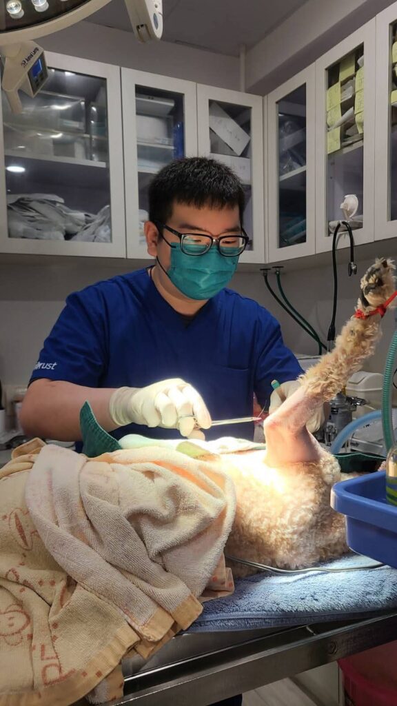 他曾因救不了自家心愛的貓咪而深深自責，那份無力感讓他走上了成為獸醫的路。從一個懷抱熱誠卻缺乏實戰經驗的年輕人，到如今在前線堅守多年的獸醫，丁勵民醫生的故事，不只是關於醫療，更是關於堅持、學習與對生命的敬重。在這個節奏急促、醫療資源有限的城市，他選擇走進社區、走近基層，成為許多毛孩與主人心中的溫柔守護者。