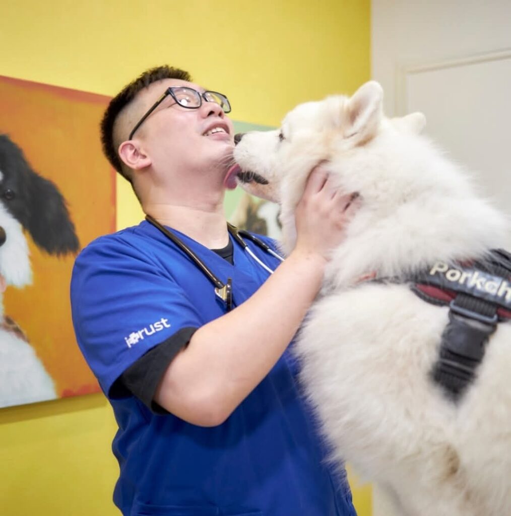 他曾因救不了自家心愛的貓咪而深深自責，那份無力感讓他走上了成為獸醫的路。從一個懷抱熱誠卻缺乏實戰經驗的年輕人，到如今在前線堅守多年的獸醫，丁勵民醫生的故事，不只是關於醫療，更是關於堅持、學習與對生命的敬重。在這個節奏急促、醫療資源有限的城市，他選擇走進社區、走近基層，成為許多毛孩與主人心中的溫柔守護者。