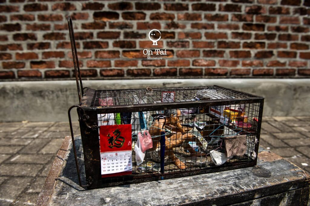 在這個日新月異的城市,當大多數人目光投向未來,有一位藝術家,選擇凝視過去。他用的是雙手、回憶,和一顆無比細膩的心。他是戴佑安(安泰),一位出生於香港、土生土長的藝術創作者,也是「微行動 Mini Movements」的發起人。他的作品沒有聲音,卻能說故事;沒有生命,卻能喚醒人心。