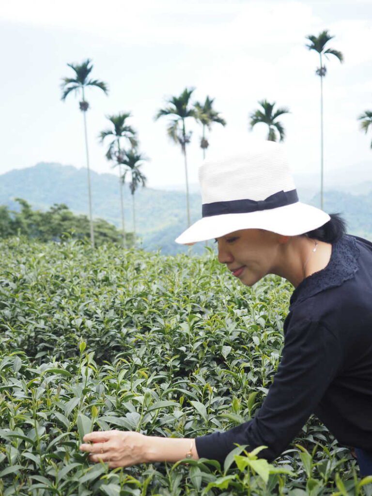 在這個越來越快的世界裡，越來越多人想要慢下來，尋找一種能讓心靈靜定的方式。茶，這項古老的文化載體，在現代人的生活中，重新被賦予了意義。它不只是飲品，更是一種生活態度，一種與自己對話的方式。關琬潼小姐Shadow，就是這樣一位在茶的世界裡找到內在節奏的人。她從小與茶結緣，經過多年探索與沉澱，最終選擇進一步走進由莊洪錦雅老師主導的大益茶道課程。透過她的學習歷程，我們看見了茶的深度，也看見了人與文化之間動人的連結。