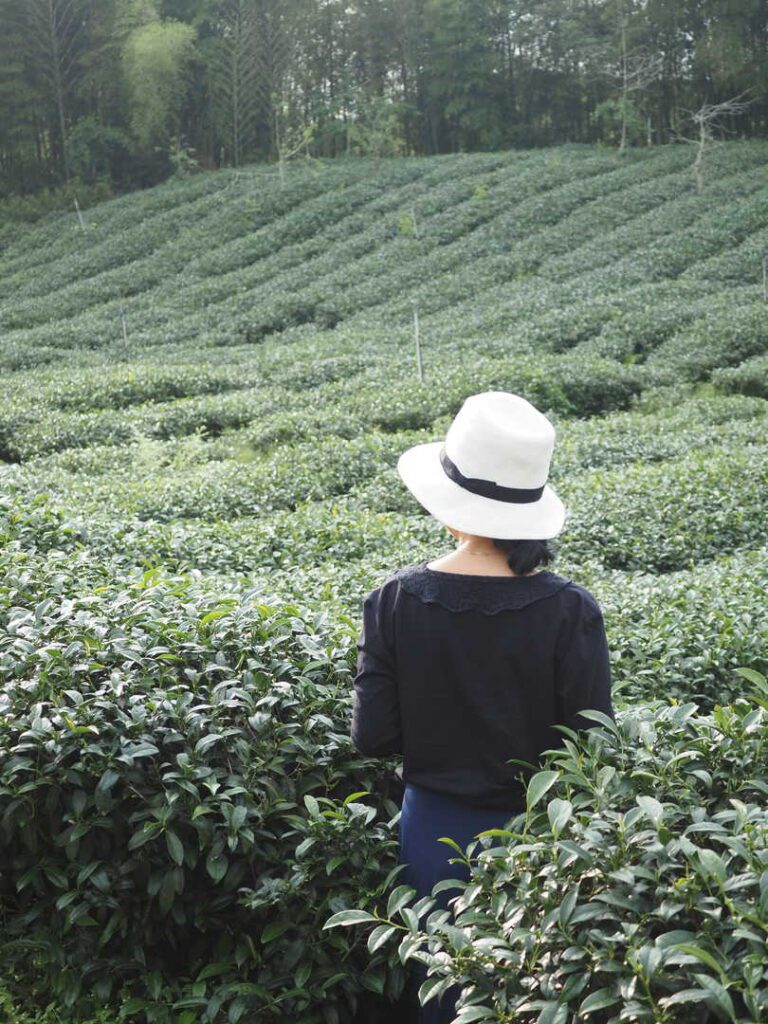 在這個越來越快的世界裡，越來越多人想要慢下來，尋找一種能讓心靈靜定的方式。茶，這項古老的文化載體，在現代人的生活中，重新被賦予了意義。它不只是飲品，更是一種生活態度，一種與自己對話的方式。關琬潼小姐Shadow，就是這樣一位在茶的世界裡找到內在節奏的人。她從小與茶結緣，經過多年探索與沉澱，最終選擇進一步走進由莊洪錦雅老師主導的大益茶道課程。透過她的學習歷程，我們看見了茶的深度，也看見了人與文化之間動人的連結。