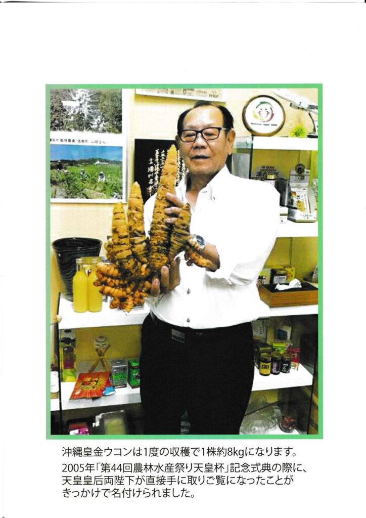 薑黃為薑科薑黃屬植物，秋季薑黃幾乎沒有苦味，是世界各地烹飪中常用的香料。在烹調食物裡會加添來著色和當作香料使用，增加菜餚的色香味，或是直接用來煮湯煮菜。印度咖哩中的黃色就是薑黃，與我們平常吃的生薑是不同的。