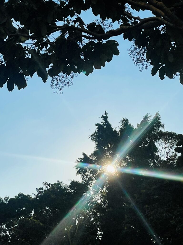 宏福苑火災後,避難中心裡的人需要的往往不是更多指令,而是一個能讓情緒慢慢落地的陪伴。關靜文Queenie從下午四點守到翌日清晨六點,十多個小時不斷巡視災民:有人因燈光難以入睡,她用兩塊布和夾子替他遮出一個能安心休息的角落;一個一年級男孩走來請她出幾道數學題,竟成了孩子在驚嚇後第一次重新開口;而在更沉重的時刻,她也陪家屬走過認領遺體的路。這篇文章想寫的不是英雄傳,而是那些看似微小、卻能在混亂裡撫慰人心的行動。