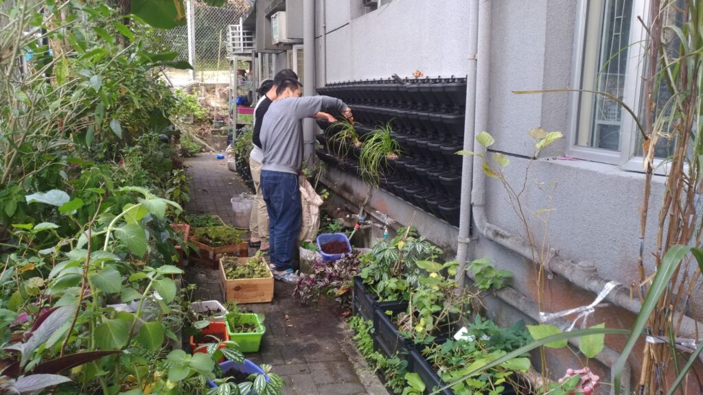 在不少人眼中,「退休」像是一段慢下來的日子;但對鍾富華(Samuel)而言,退休更像是把多年累積的經驗,換一種方式繼續發光。他退休前是「柔莊之家」的經理,工作內容涵蓋宿舍單位的日常運作與團隊協調,也長年服務輕度至中輕度智障人士。離開全職崗位後,他沒有停下來,反而更確定:自己想把「園藝種植」的興趣,做成能讓人重新相信自己的平台。