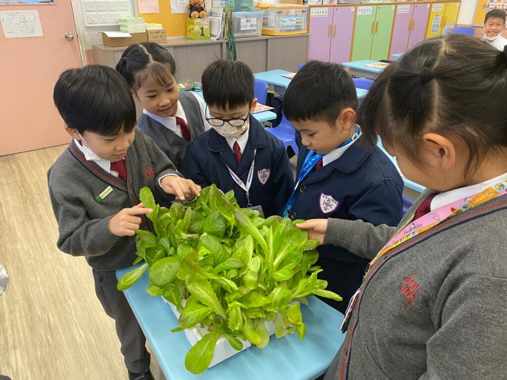 在一個人人都在問「成績怎樣衝上去」的年代，聖公會聖米迦勒小學｜鄧子健校長把話題帶到更根本的位置：孩子為什麼要學？如果連自己想成為怎樣的人都未想清楚，再漂亮的分數都可能只是一段被推着走的路。他不介意談自己的「不完美」——年少時頑皮、讀書只求「夠用」、曾把賺錢當作最重要的指標；也不避諱說自己如何在一次次被提醒、被挑戰後，慢慢學會謙卑，學會用「關係」和「信任」去帶領一間學校。這次專訪，記錄他如何把興趣與夢想變成孩子看得見、摸得到的學習經驗；也記錄他如何用一份家長問卷、七十多位家長親自回電，把「我願意聽」變成「我真的做到」。讀到最後你會明白，他想打造的不是一間只擅長催谷孩子成績的學校，而是一個讓孩子每天願意走進來、並且敢於想像未來的地方。