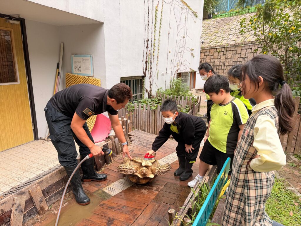 邦Sir的救援故事，從來不是「一時熱血」。清晨五點半起身做正職，轉身又要處理求助、安置、跟進和教育工作——他把動物救援做成一套可持續的日常：講流程、講資源、講底線，更講「標準」。在龜途，他不追求收得多、也不靠賣慘換流量；他在意的是每一個生命被接住之後，能不能被好好照顧，能不能在校園裡變成真正的生命教育，而不是「死咗就換一隻」的消耗品。這篇文章帶你走近邦Sir：一個把善意做實、把責任做到底的人。