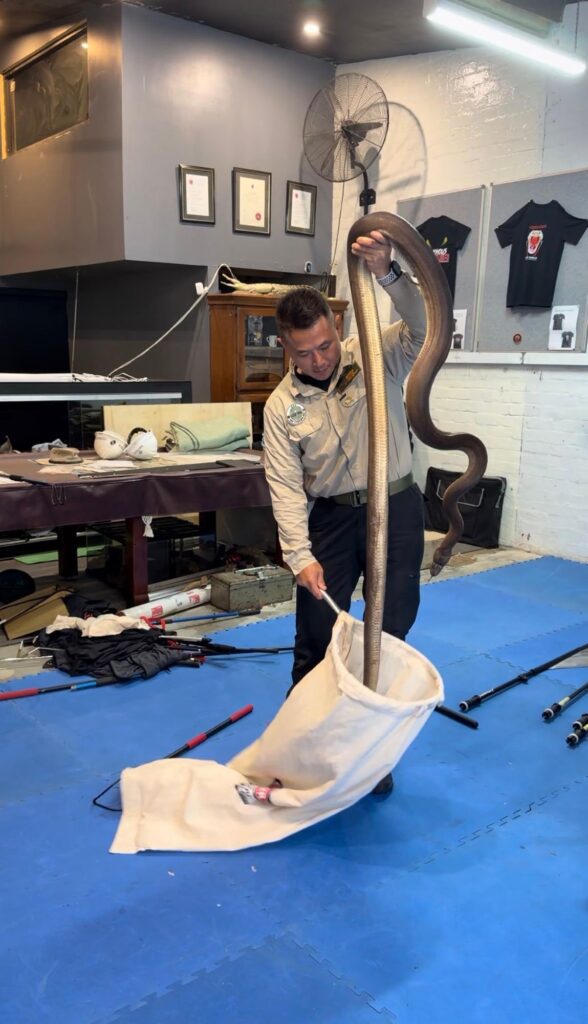 邦Sir的救援故事，從來不是「一時熱血」。清晨五點半起身做正職，轉身又要處理求助、安置、跟進和教育工作——他把動物救援做成一套可持續的日常：講流程、講資源、講底線，更講「標準」。在龜途，他不追求收得多、也不靠賣慘換流量；他在意的是每一個生命被接住之後，能不能被好好照顧，能不能在校園裡變成真正的生命教育，而不是「死咗就換一隻」的消耗品。這篇文章帶你走近邦Sir：一個把善意做實、把責任做到底的人。