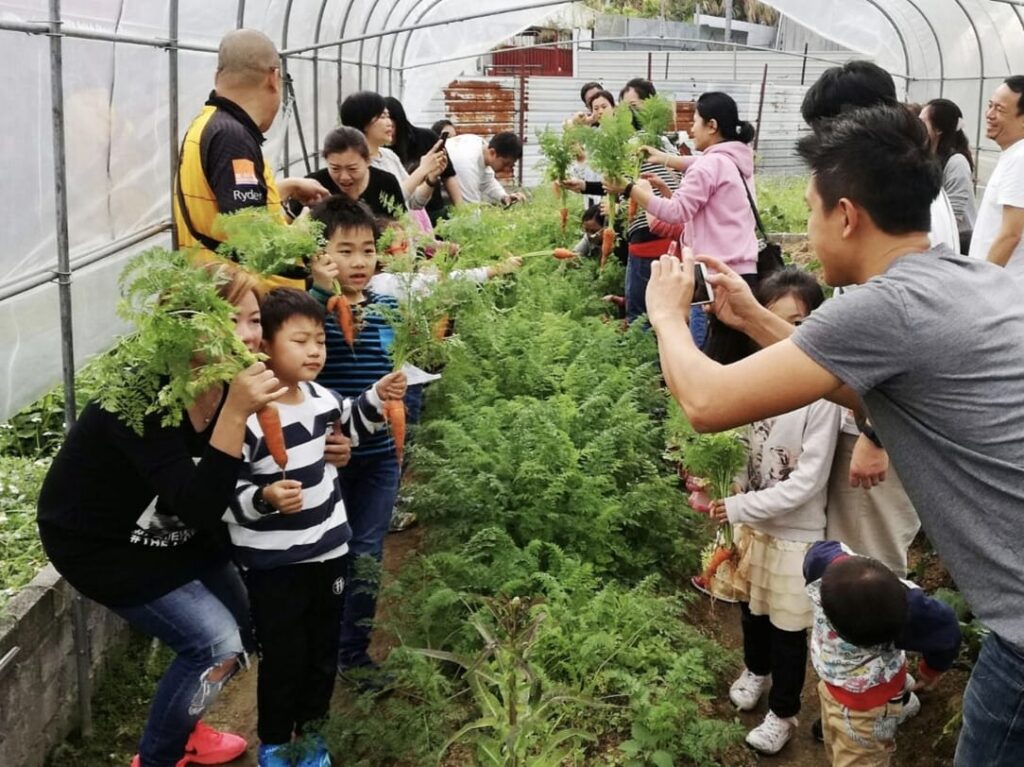 香港的節奏快得讓人忘記呼吸：工時拉長、訊息轟炸、孩子的課表排得密不透風，大人也常把疲憊當作常態。Living Farm 生活農莊負責人梁國鋒 Godfrey 走過兩個世界，在香港感受過讀書與生活的高壓，也在英國的農場校園裡體會過另一種成長方式：把學習放進土地與日常。多年後，他從建築與設計行業的高速旋轉中抽身，選擇回到一塊地，親手把「減壓」變成看得見、摸得到的空間與社群。這不是一時衝動的轉身，而是一場關於自我重整、也關於如何陪孩子長大的真實實驗。