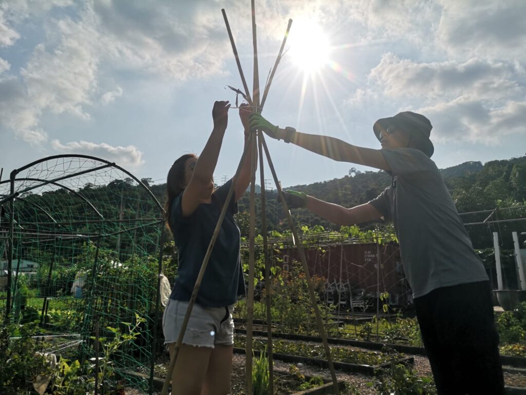香港的節奏快得讓人忘記呼吸：工時拉長、訊息轟炸、孩子的課表排得密不透風，大人也常把疲憊當作常態。Living Farm 生活農莊負責人梁國鋒 Godfrey 走過兩個世界，在香港感受過讀書與生活的高壓，也在英國的農場校園裡體會過另一種成長方式：把學習放進土地與日常。多年後，他從建築與設計行業的高速旋轉中抽身，選擇回到一塊地，親手把「減壓」變成看得見、摸得到的空間與社群。這不是一時衝動的轉身，而是一場關於自我重整、也關於如何陪孩子長大的真實實驗。