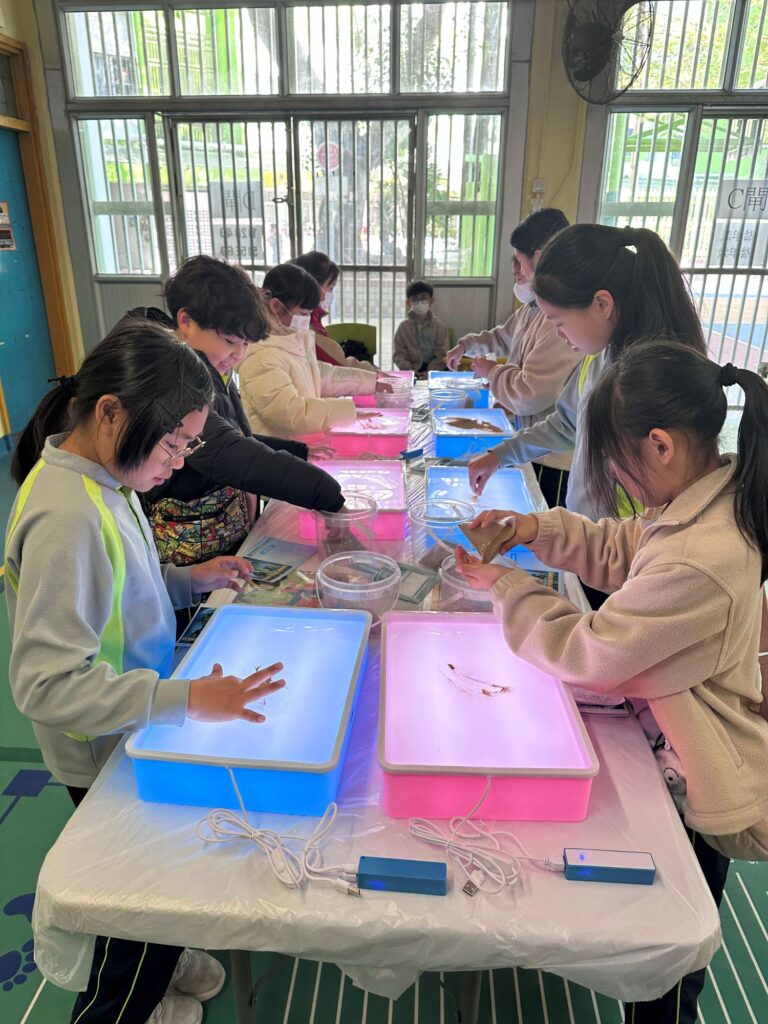 在不少家長的記憶裡,小學生活常常與成績、操練、補課和趕進度綁在一起;也有些人一直在思考:既要學得好,又要孩子身心健康,是否只能二選一?走進香港路德會增城兆霖學校,葉綠盈校長給出另一種答案,以清晰的價值為底,以課程與活動為路徑,把校園變成一個孩子願意投入、敢於嘗試、能夠成長的地方。她不把「開心」當作口號,而是把它落實到課堂設計、校本課程、交流體驗與校園空間之中,讓孩子在安全守規的環境裡玩住學、學住玩;也讓家長看見,原來一間屯門的屋邨小學,同樣可以把孩子帶向更寬廣的世界。她回想自己的教育路過去在九龍東教任教多年,來到這裡擔任校長四年,她形容自己是「好開心」的,不只是換了崗位,而是重新看見:原來上學不一定要靠催谷成績來支撐,也可以靠孩子的好奇心與投入感來推動。
