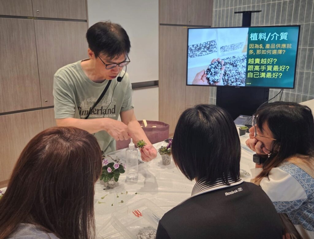 黃偉賢 Vincent 原本從事市場推廣,種花最初只是生活裡的一個興趣。疫情期間,他在家中露台種起花來,越種越多,最多時已有逾千盆。當一個人的興趣累積成一片小小花海,也自然吸引到同好。