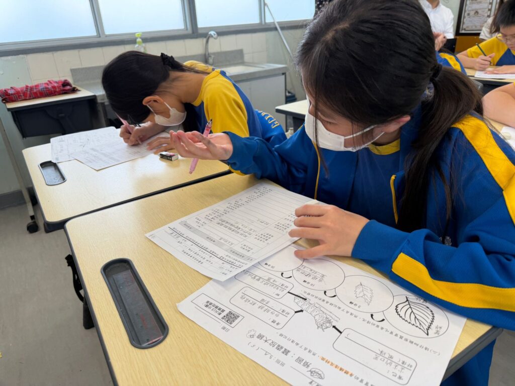 在葛量洪校友會黃埔學校,一個關於「蠶」的課程,原本可以只是一節常識課:認識昆蟲、觀察成長、寫一份報告。但在胡海珊主任、楊浩泉主任和趙雅雯老師手上,它慢慢長成了一個跨學科學習旅程,有生命教育、有中文寫作、有中華文化、有AI應用,也有家長一起參與的日常照顧。三位老師各有專長。胡海珊主任在學校任教多年,負責課程與中文教學;趙雅雯老師熟悉中文科與圖書館工作,亦積極把AI工具帶入學習;楊浩泉主任則擅長生態教育,對昆蟲和自然觀察有濃厚興趣。三個不同位置的人走在一起,成就了一個不只是「養蠶」的課程。