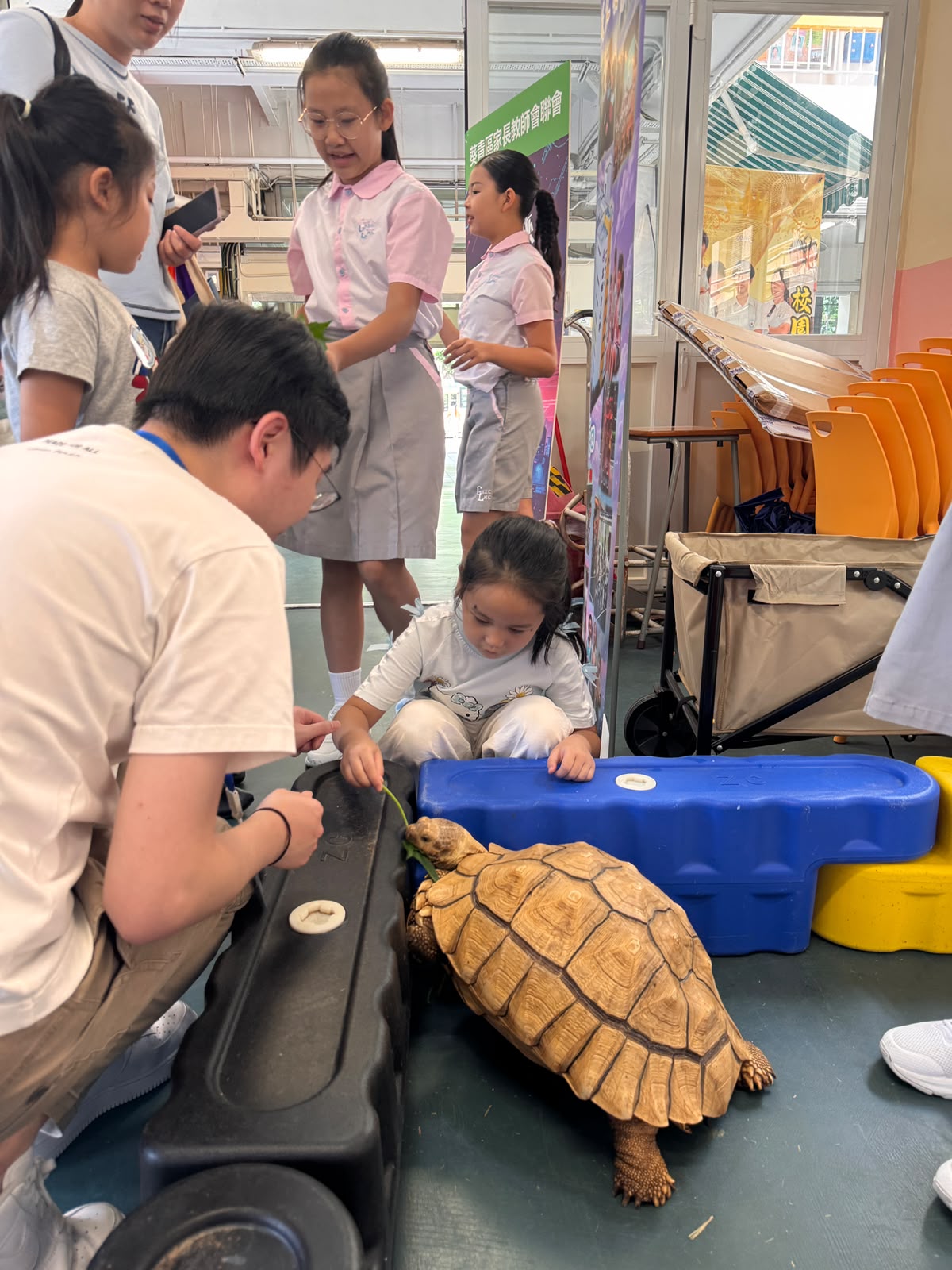 由葵青區家長教師會聯會主辦,葵涌區小學校長會、青衣區小學校長會及荃灣及葵青區幼稚園校長會協辦的「2026葵青區幼稚園及小學嘉年華」,於2026年9月5日(星期六)假棉紡會中學舉行。中華傳道會呂明才小學(呂小)於活動中設置「爬爬樂園(PaPa Place)—流動教室」特色攤位,透過學生生命大使示範動物實地照顧、介紹校本生命教育繪本及照顧指南等方式,向區內幼稚園生、小學生、家長及公眾人士分享尊重生命、關愛自然及承擔照顧責任的重要訊息。
